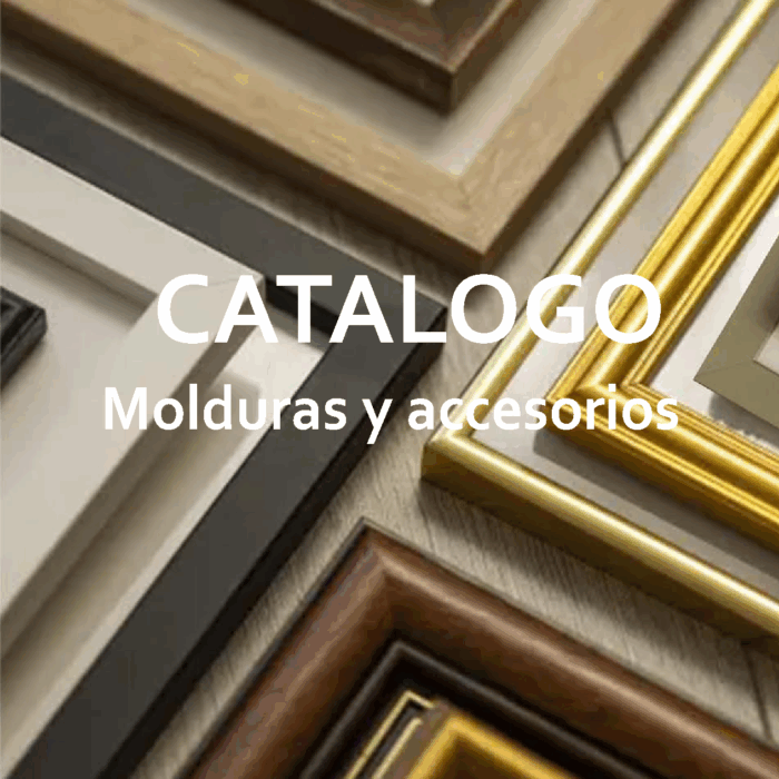 CATALOGO DIGITAL 2025_MOLDARA SAS